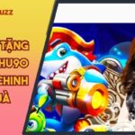 Thắng tiền tặng lại tiền NOHU90